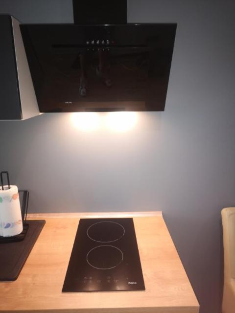 Apartament Pod Swiatynia Wang カルパッチ エクステリア 写真