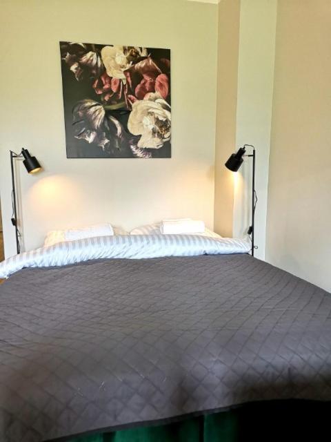 Apartament Pod Swiatynia Wang カルパッチ エクステリア 写真