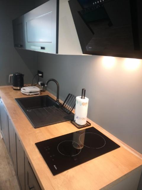 Apartament Pod Swiatynia Wang カルパッチ エクステリア 写真